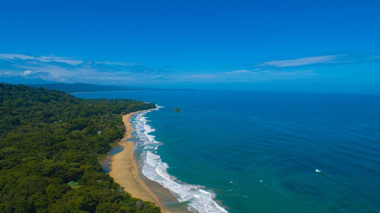 Gigi Brown Villa Frida Beachfront Puerto Viejo de Talamanca Exterior foto